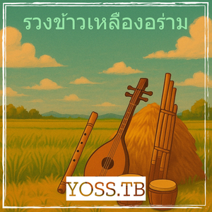 รวงข้าวเหลืองอร่าม