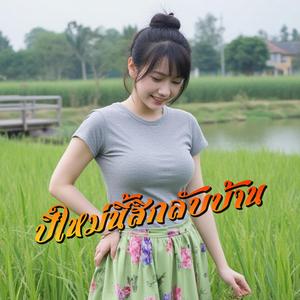 ปีใหม่นี้สิกลับบ้าน