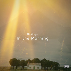 In the Morning