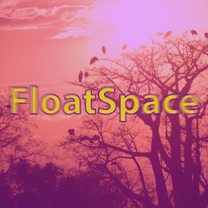 Birds in the morning ambience