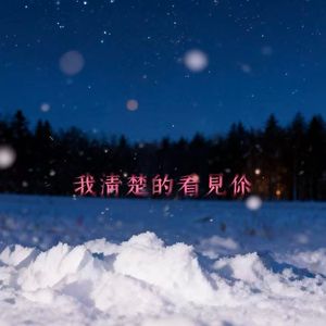 我清楚的看见你