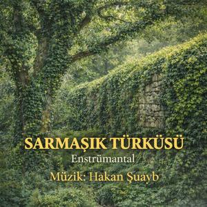 Sarmaşık Türküsü - Ayışığı Resitalleri - Enstrümantal