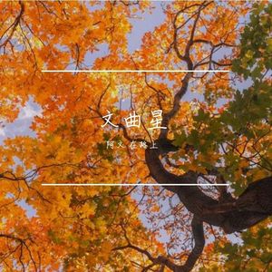 你眉眼一弯 落日也跟着灿烂