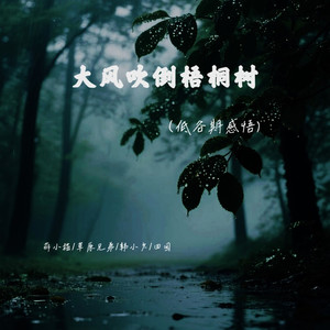 大风吹倒梧桐树 (低谷期感悟)