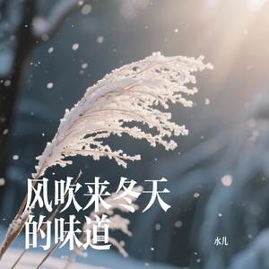 风吹来冬天的味道