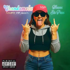 Desperté en Miami (VIP)