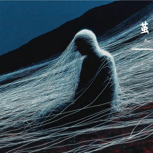 茧