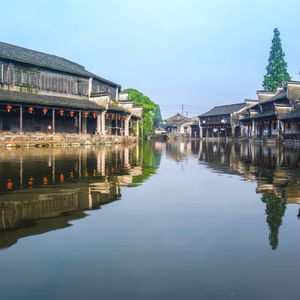 梅香傲骨 (Plum Blossom's Spirit)