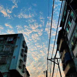 橘子（翻自 邓见超）