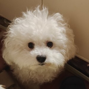 南京回忆里的分手与祝福