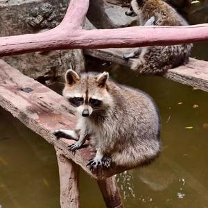 定格瞬间·爱意永恒 - 谱章 1