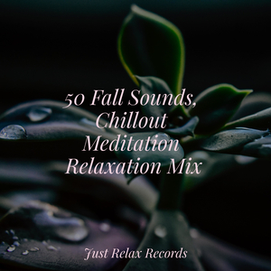 Stillness in Icy Silence