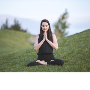 Ravissement des bols de printemps