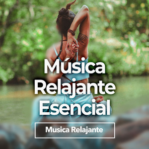 Perfect Woodland Stream