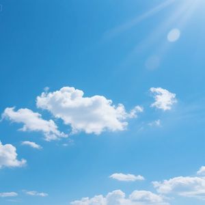 风吹林梢动影摇