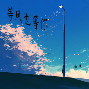 等风也等你 (柔和版)