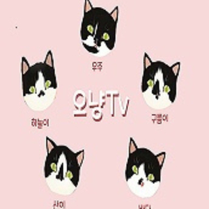 5cats1