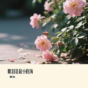眼泪是最小的海 (面包. Remix)