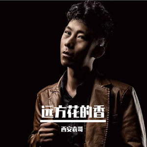远方的花香 伴奏