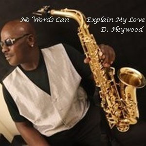 No Words Can Explain My Love