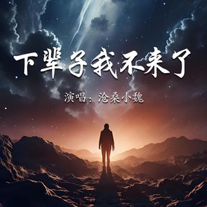 下辈子我不来了