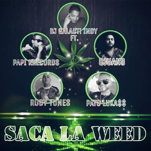 Saca la Weed (feat. Papi Krecords, Pato Luka$$, 8juan8 & Rudy Tunes)