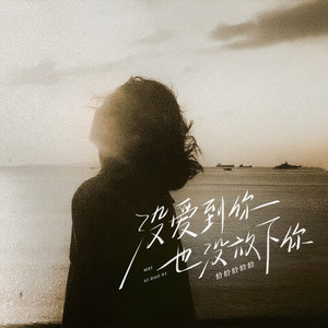 没爱到你也没放下你