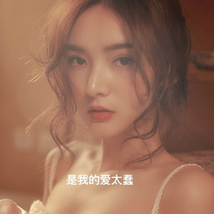 是我爱的太蠢