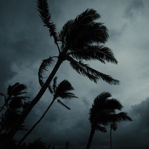 月色吻过你的脸