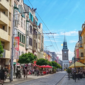 Kostel-Biohazard-McD XX