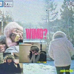 WIMD?