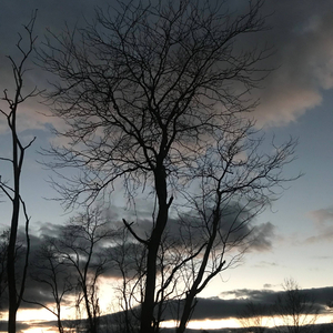 Take My Heart (feat. ZEEF)