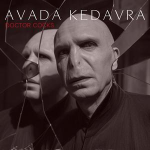 Avada Kedavra (Abracadabra Lady Gaga Parody)