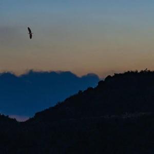 记忆围绕你（9）