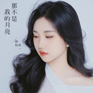那不是我的月亮