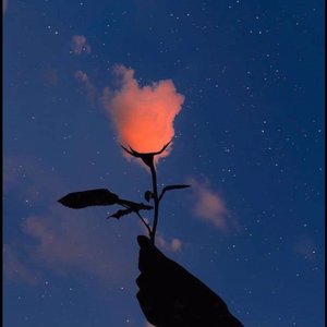 我会永远记得你