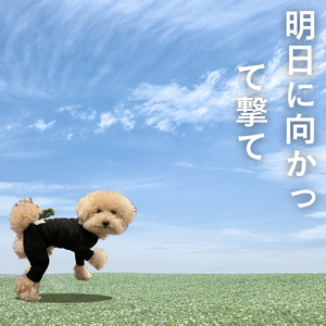 明日に向かって撃て (feat. 梵そよぎ & 知声)