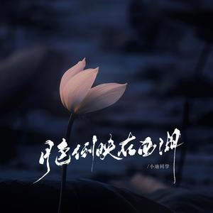 月色倒映在西湖