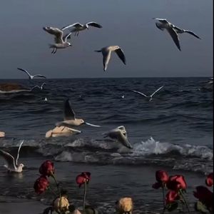 雨天-（郑润泽版）