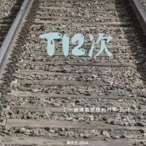 T12次