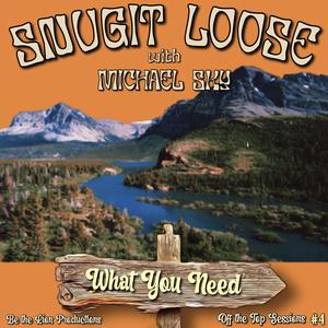 What You Need (feat. Michael Sky)