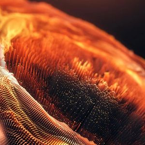 靠拥抱亦难任你拥有