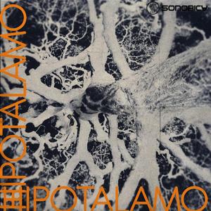 Hipotálamo