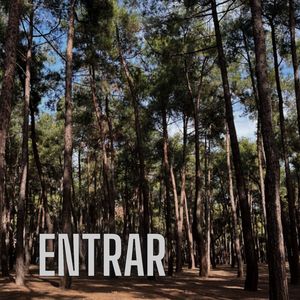 Entrar