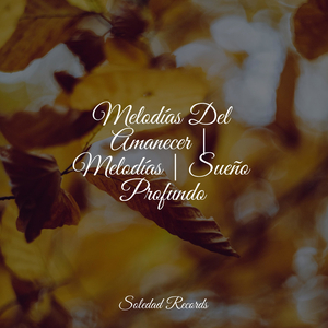 Himnos De La Pasión Por Los Viajes