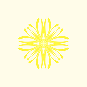 Hamamelis Virginiana