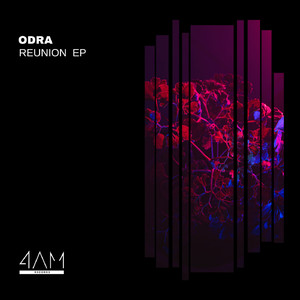 Reunion (Original Mix)
