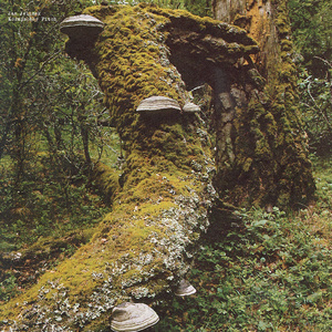 Universal Band Silhouette