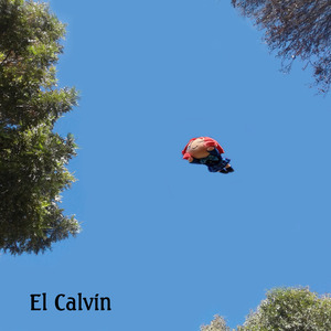 Si
