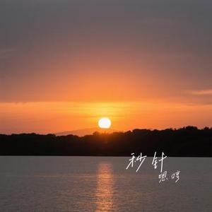 秒针 (Cover 阿梨粤)